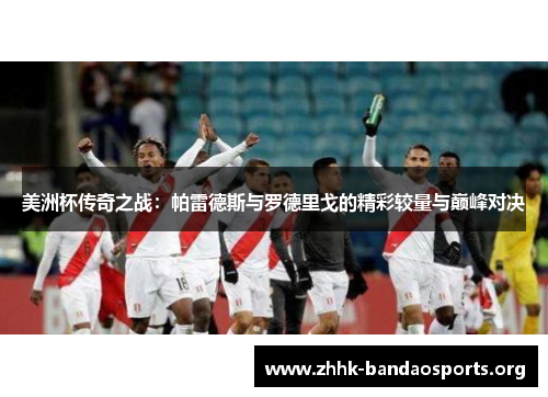 美洲杯传奇之战：帕雷德斯与罗德里戈的精彩较量与巅峰对决