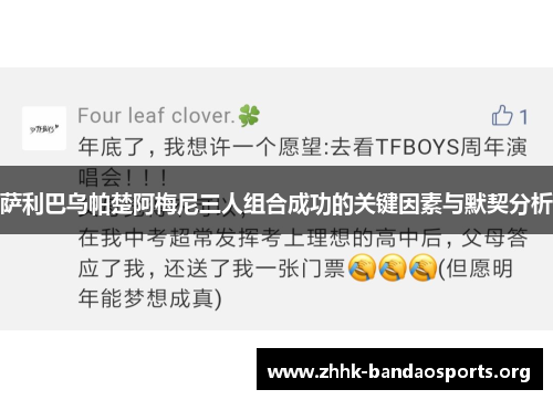 萨利巴乌帕楚阿梅尼三人组合成功的关键因素与默契分析