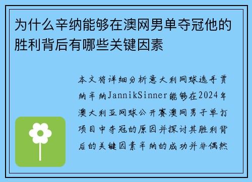 为什么辛纳能够在澳网男单夺冠他的胜利背后有哪些关键因素