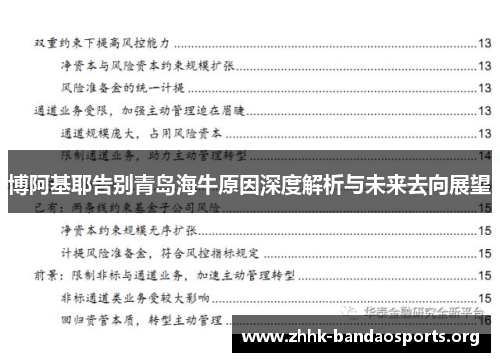 博阿基耶告别青岛海牛原因深度解析与未来去向展望