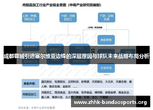 成都蓉城引进塞尔维亚边锋的深层原因与球队未来战略布局分析