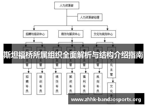 斯坦福桥所属组织全面解析与结构介绍指南
