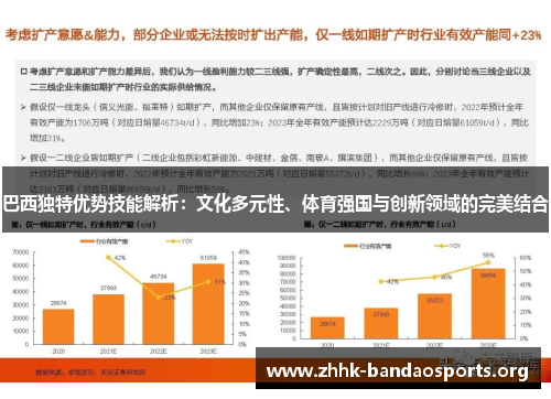 巴西独特优势技能解析：文化多元性、体育强国与创新领域的完美结合