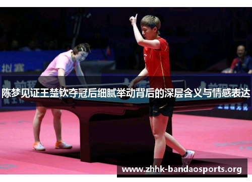 陈梦见证王楚钦夺冠后细腻举动背后的深层含义与情感表达 陈梦见证王楚钦夺冠后细腻举动背后的深层含义与情感表达
