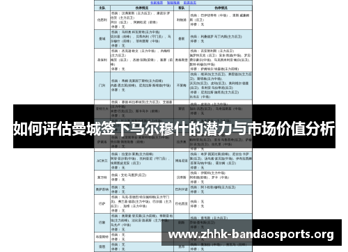 如何评估曼城签下马尔穆什的潜力与市场价值分析