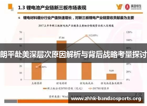 朗平赴美深层次原因解析与背后战略考量探讨